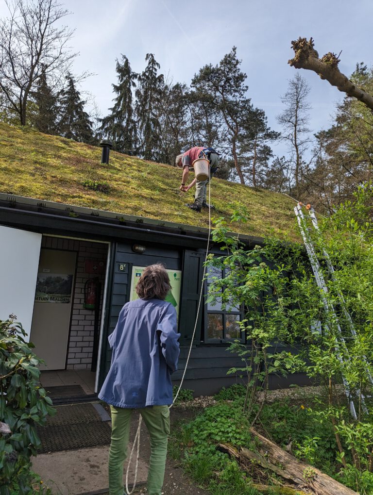 Vrijwilligers heemhuis sedumdak
