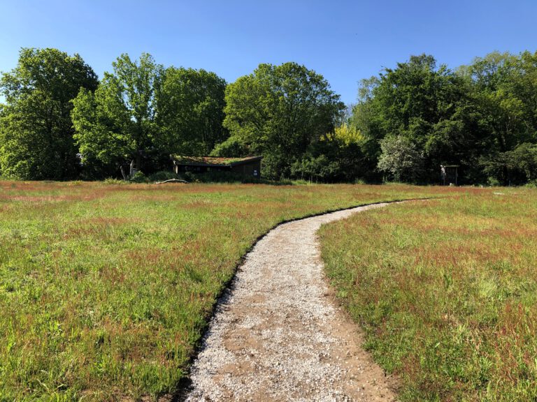 Schraal grasland pad