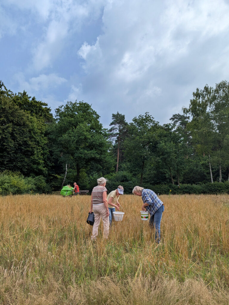 Vrijwilligers akkers zomer 2025_rev