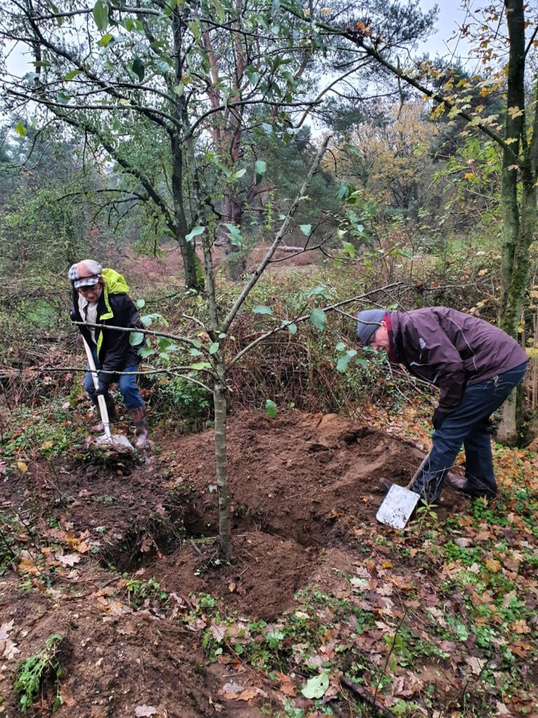 Vrijwilligers boom planten