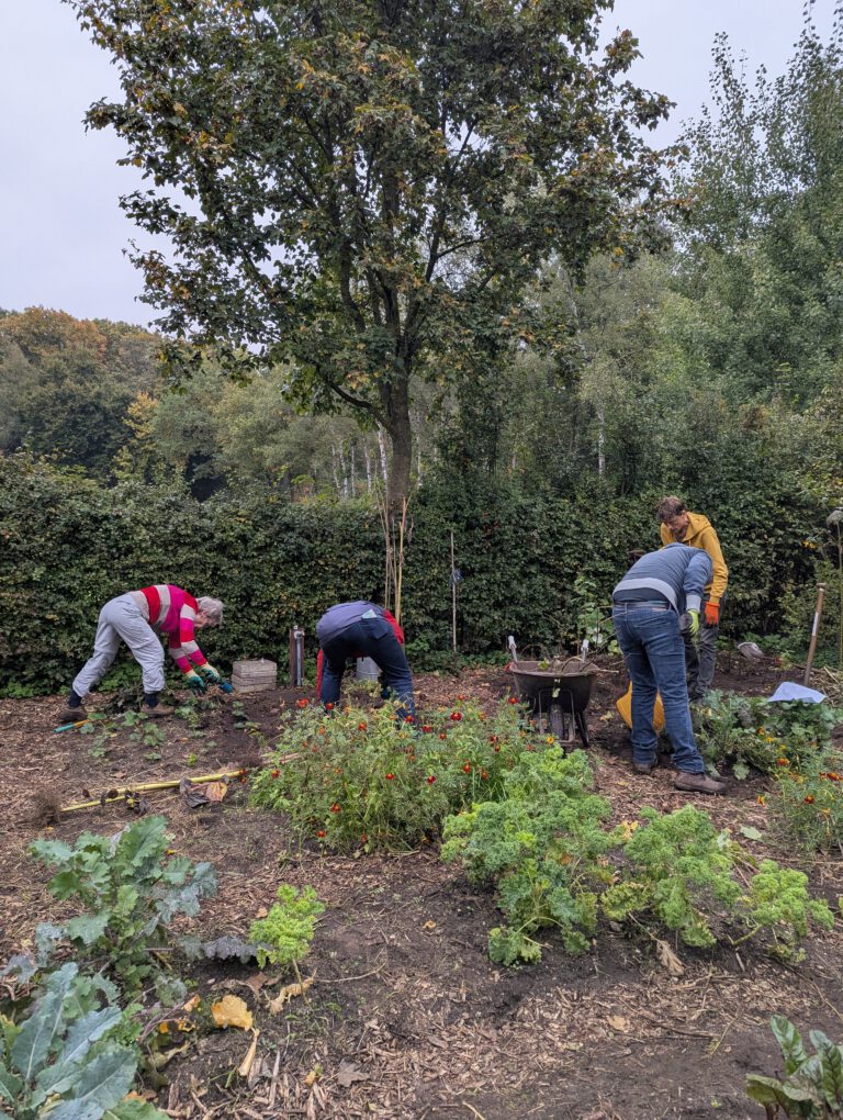 Vrijwilligers moestuin zomer 2025 (5)